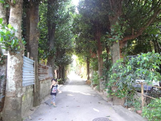 Bise House Guest House Motobu Luaran gambar